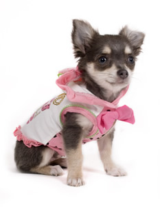 Perrito con vestido color rosa.